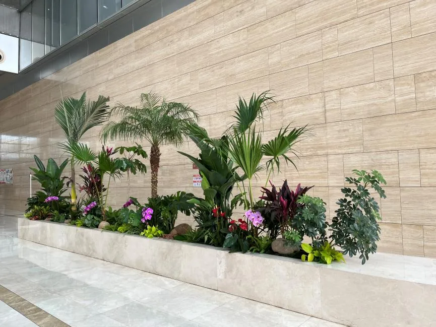 宁波镇海花木租摆公司，让绿植扮靓您的生活！